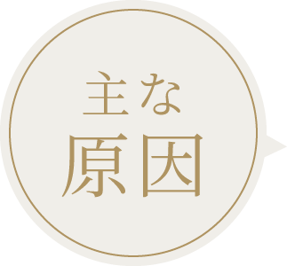 主な原因